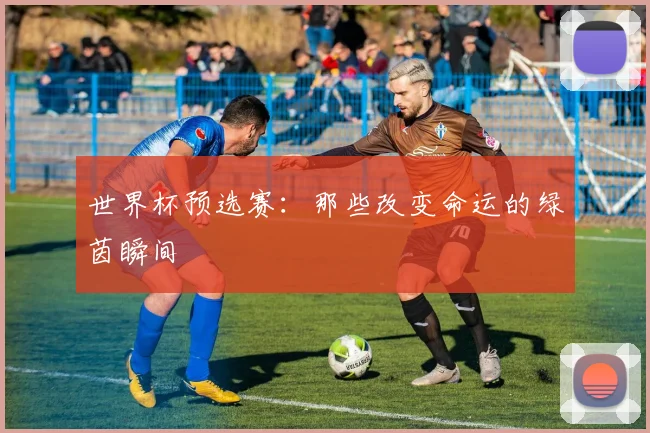 世界杯预选赛：那些改变命运的绿茵瞬间