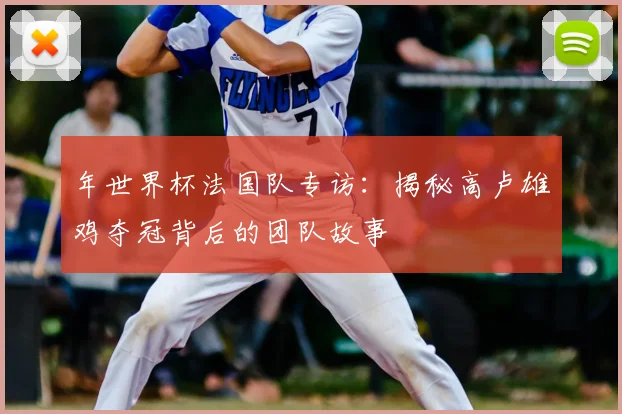 年世界杯法国队专访：揭秘高卢雄鸡夺冠背后的团队故事