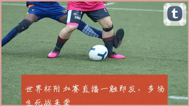 世界杯附加赛直播一触即发，多场生死战来袭