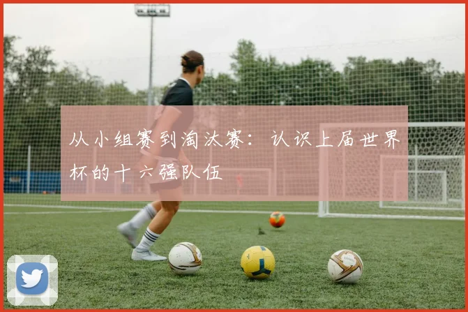 从小组赛到淘汰赛：认识上届世界杯的十六强队伍