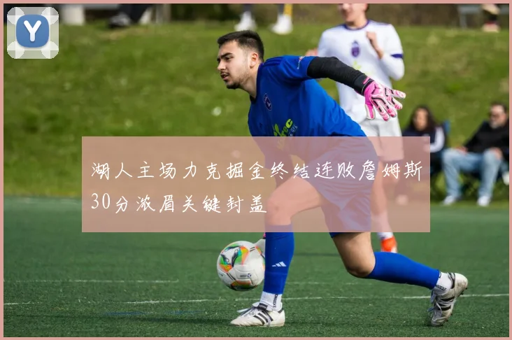 湖人主场力克掘金终结连败詹姆斯30分浓眉关键封盖