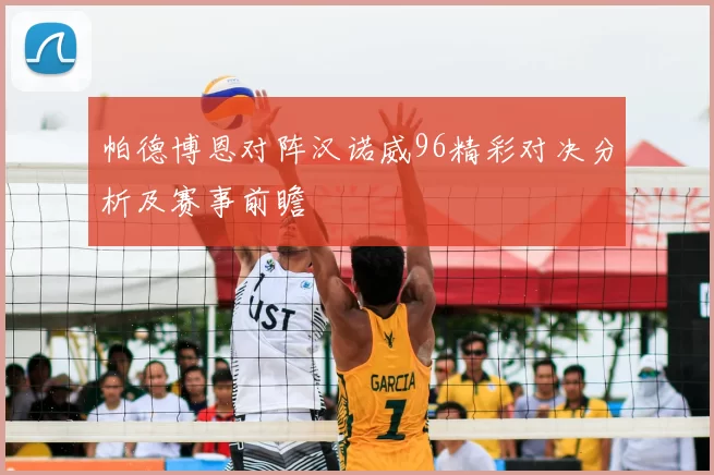 帕德博恩对阵汉诺威96精彩对决分析及赛事前瞻