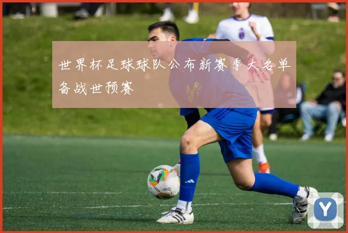 世界杯足球球队公布新赛季大名单备战世预赛