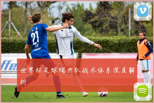 世界杯足球瑞典队战术体系深度解析