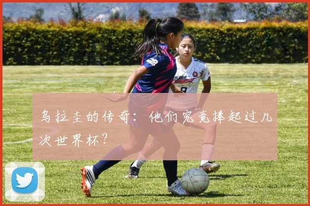 乌拉圭的传奇：他们究竟捧起过几次世界杯？