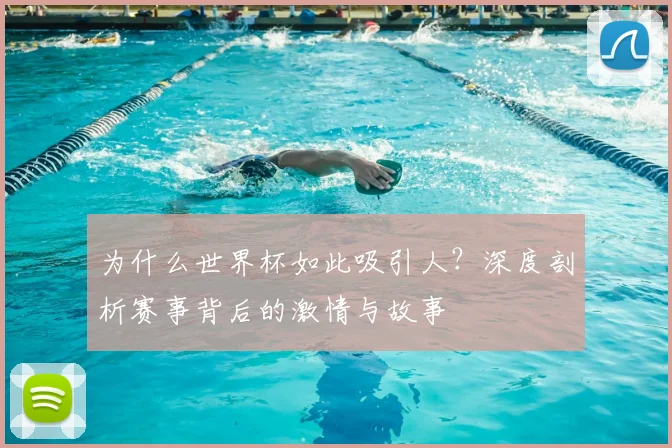 为什么世界杯如此吸引人？深度剖析赛事背后的激情与故事