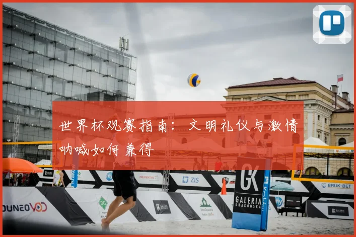 世界杯观赛指南：文明礼仪与激情呐喊如何兼得