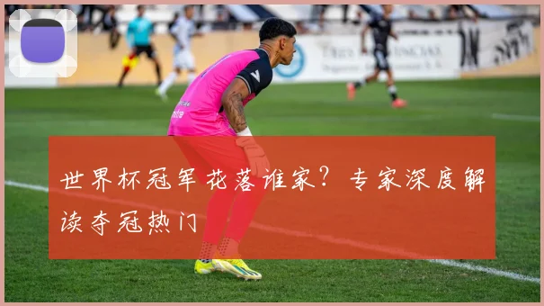 世界杯冠军花落谁家？专家深度解读夺冠热门